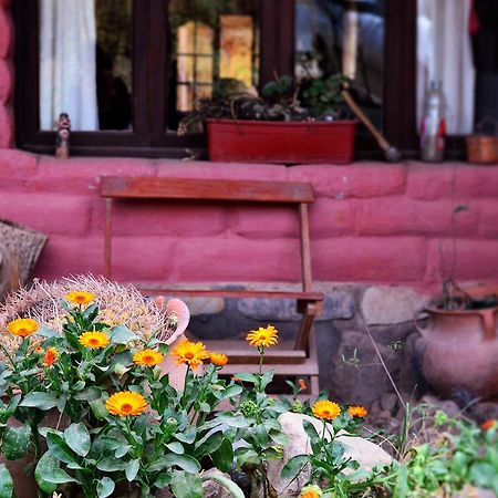La Rosa Hostel Tilcara Εξωτερικό φωτογραφία