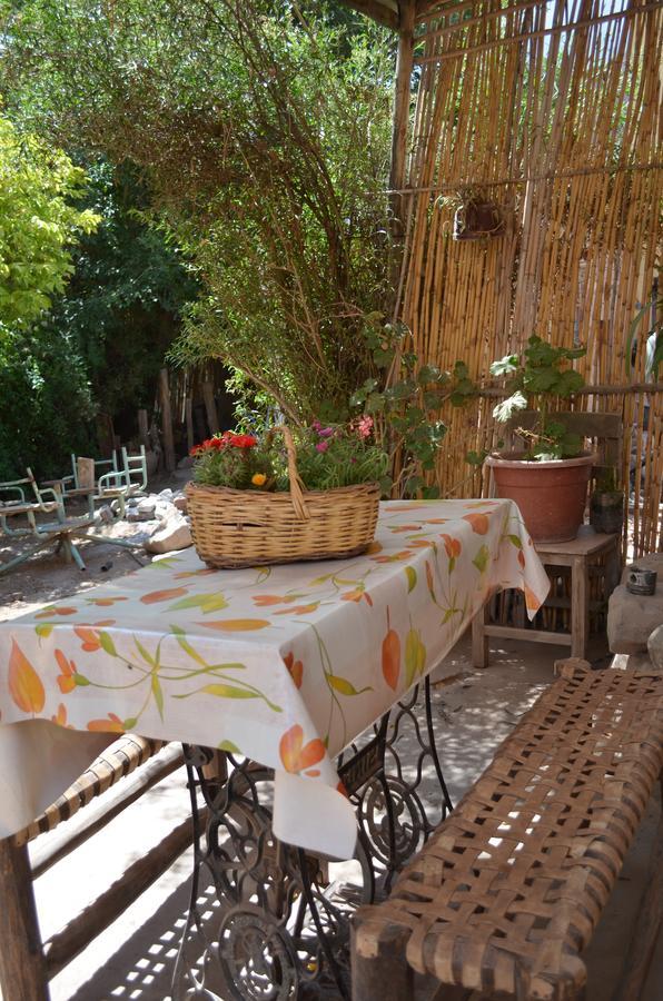 La Rosa Hostel Tilcara Εξωτερικό φωτογραφία